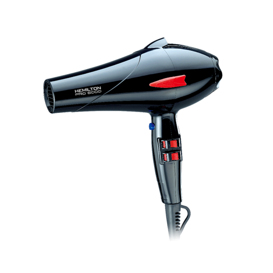 PRO 6000 Professional Hair Dryer 2300W, model 3050-HEM